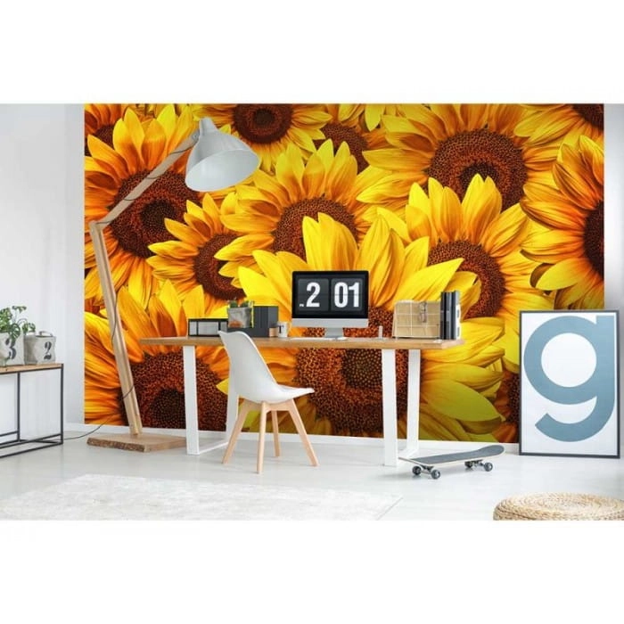 Fototapeta MS-5-0129 Słoneczniki flizelinowa Dimex