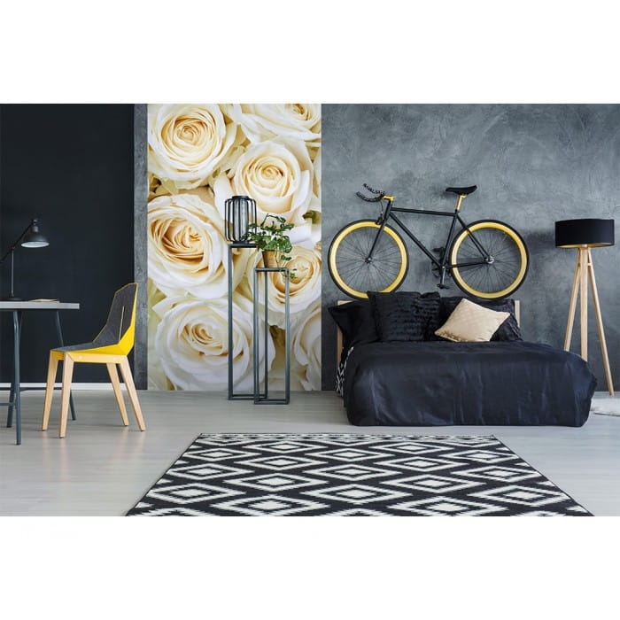 Fototapeta MS-2-0137 Białe róże flizelinowa Dimex