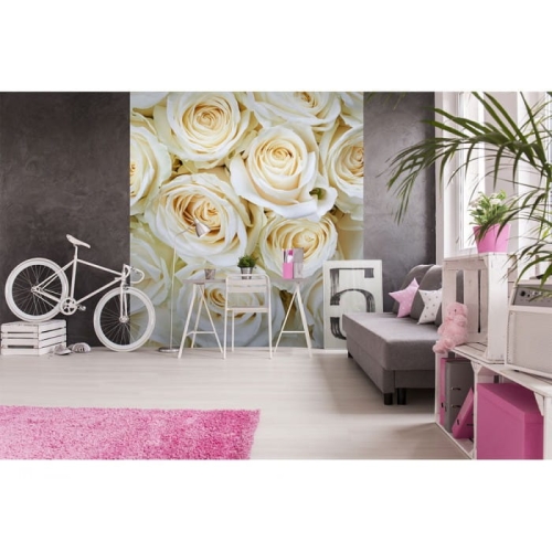 Fototapeta MS-3-0137 Białe róże fizelinowa Dimex