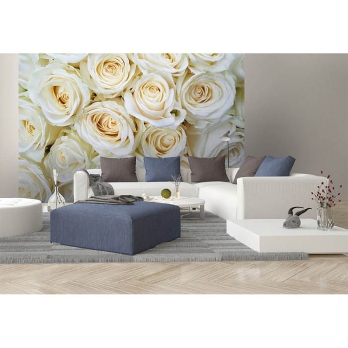 Fototapeta MS-5-0137 Białe róże flizelinowa Dimex
