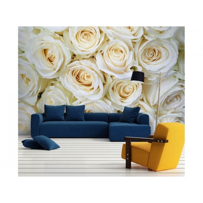 Fototapeta MS-5-0137 Białe róże flizelinowa Dimex