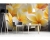 Fototapeta MS-5-0140 Kwiat Pulmeria flizelinowa Dimex
