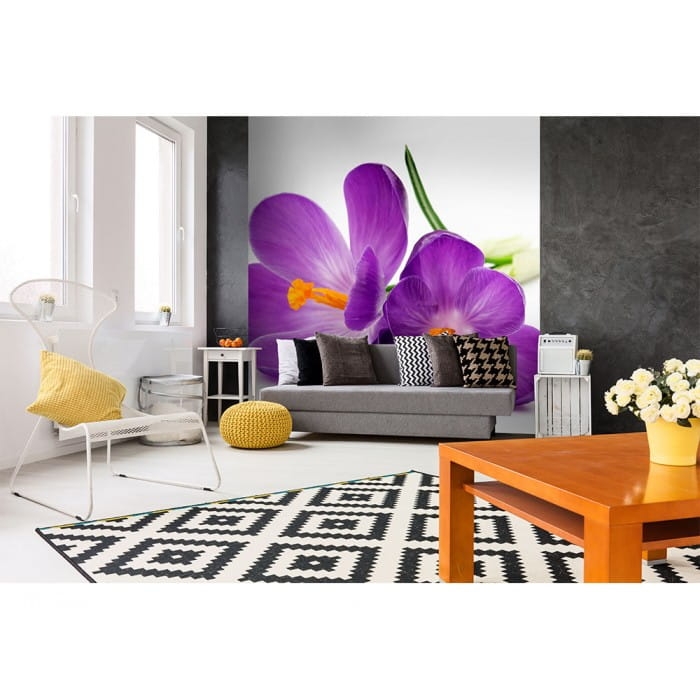 Fototapeta MS-3-0144 Krokusy fizelinowa Dimex