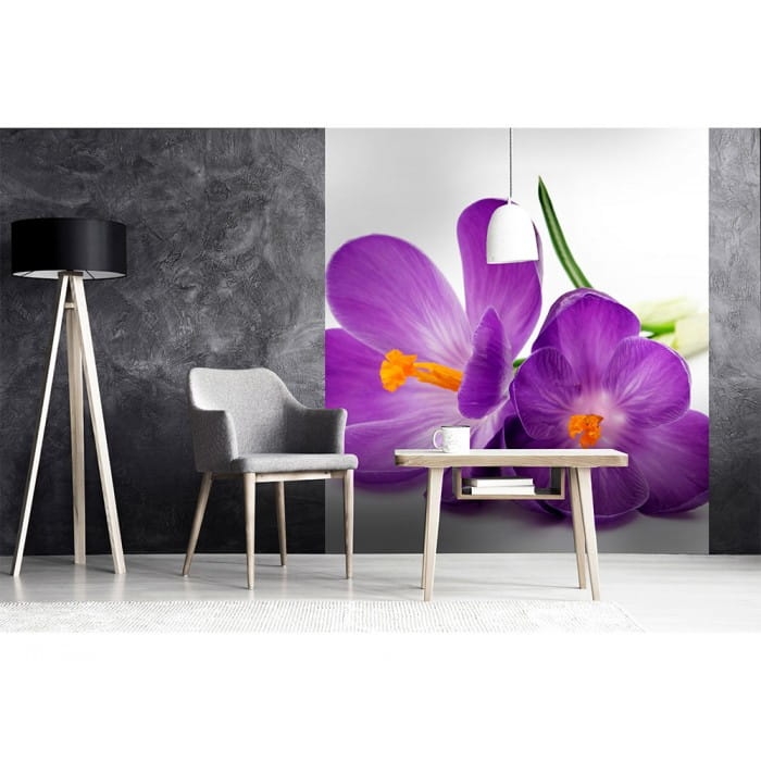 Fototapeta MS-3-0144 Krokusy fizelinowa Dimex