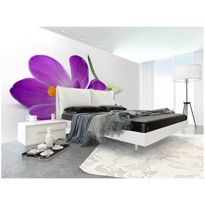 Fototapeta MS-5-0144 Krokusy flizelinowa Dimex