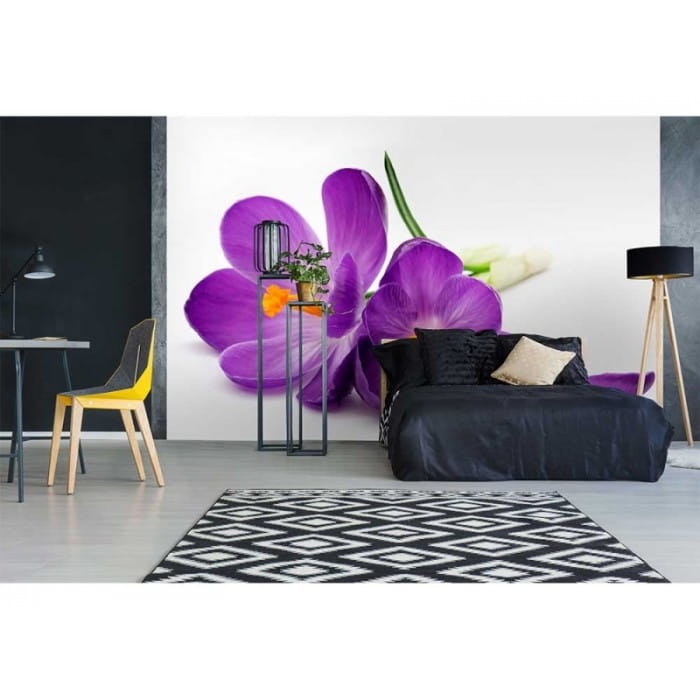 Fototapeta MS-5-0144 Krokusy flizelinowa Dimex