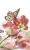 Fototapeta MS-2-0146 Orchidea flizelinowa Dimex