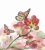 Fototapeta MS-3-0146 Orchidea fizelinowa Dimex