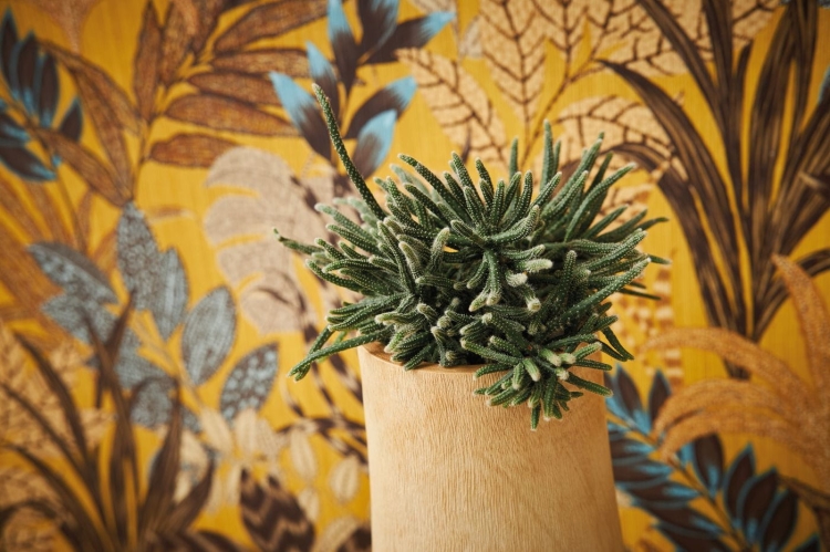 Tapeta ścienna w duże liście, palmy, AS Metropolitan Stories 37860-1 musztardowy, styl afrykański