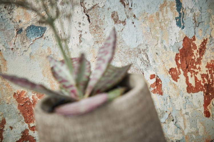 Metropolitan Stories 2 37954-1 Tapeta ścienna AS, stary tynk, popękany beton, kolorowy