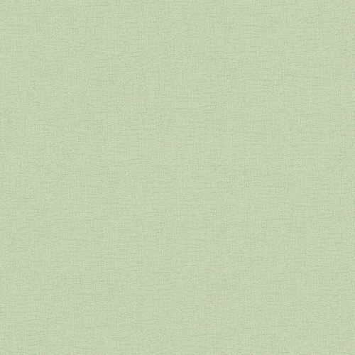 Tapeta AS Attractive 37831-5, jednokolorowa, tło jasnozielone