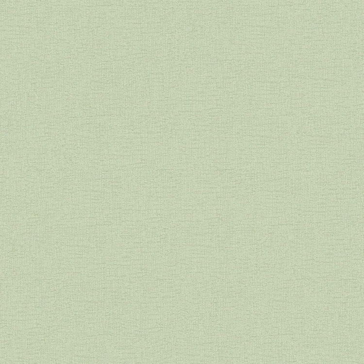 Tapeta AS Attractive 37831-5, jednokolorowa, tło jasnozielone