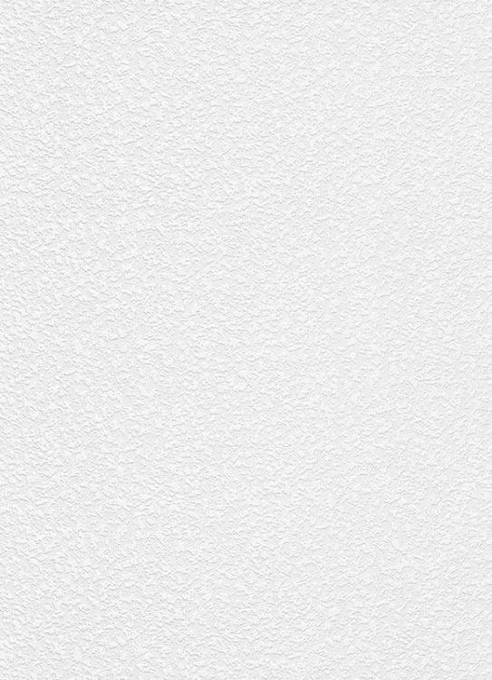 Top Trend 4 5364-01 Tapeta ścienna Erismann, TAPETA DO MALOWANIA