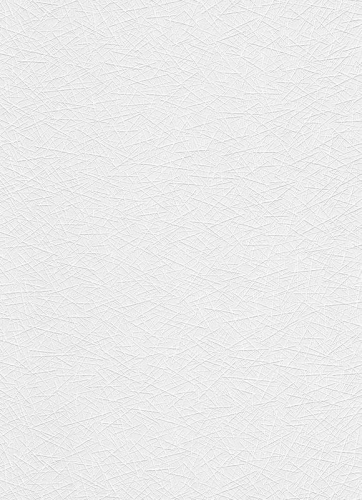 Top Trend 4 5368-01 Tapeta ścienna Erismann, TAPETA DO MALOWANIA ,szer.1,06m