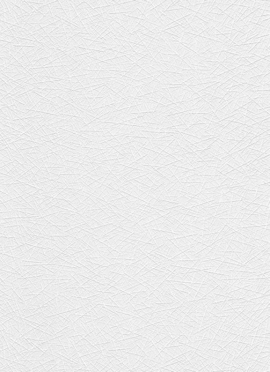 Top Trend 4 5368-01 Tapeta ścienna Erismann, TAPETA DO MALOWANIA ,szer.1,06m