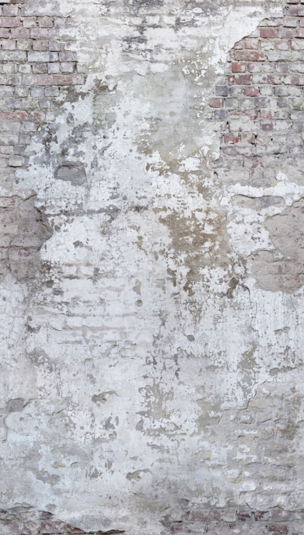 Fototapeta Mural A42301 ściana mur cegła Grandeco Orom 2