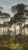 Fototapeta Mural A46301 natura las widok Grandeco Orom 2