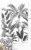 One roll One motif JF6101 Tapeta ścienna Grandeco-MURAL, liście, rośliny, botanika