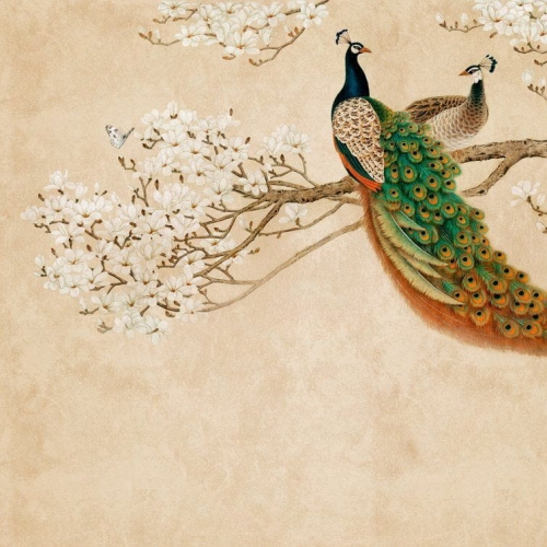 Metropolitan Stories The Wall 38236-1 Tapeta ścienna AS-MURAL, gałęzie, kwiaty, paw