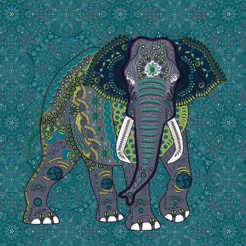 Metropolitan Stories The Wall 38262-1 Tapeta ścienna AS-MURAL, abstrakcja, słoń, boho