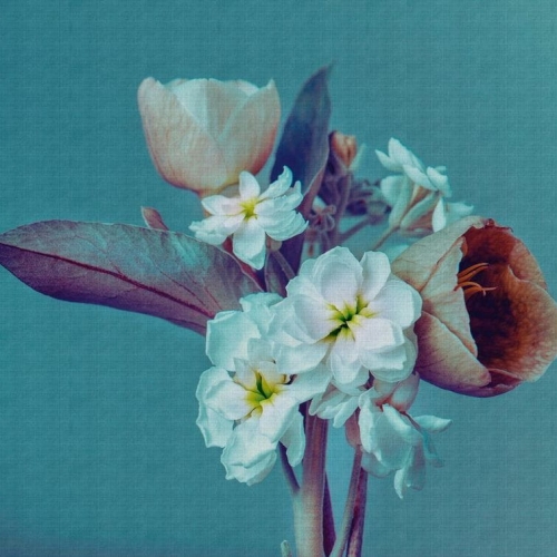 Metropolitan Stories The Wall 38269-1 Tapeta ścienna AS-MURAL, kwiaty, bukiet kwiatów