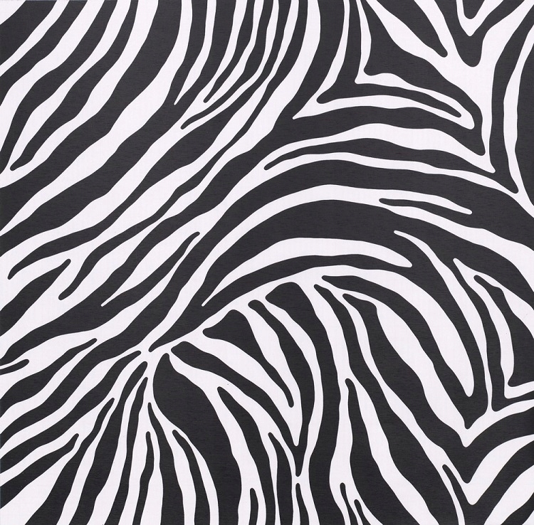 OKLEINA MEBLOWA BIAŁO-CZARNA ZEBRA PRÓBKA 10133