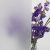 f68a10074c79bb1e964d5788a886
