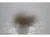51cc7f01482fae6bfa8487858f26