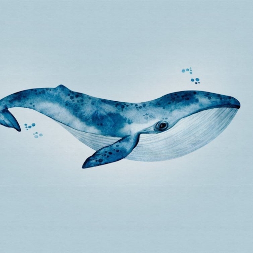 Metropolitan Stories The Wall 38300-1 Tapeta ścienna AS-MURAL, wieloryb, dziecięca