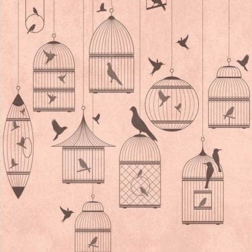 Metropolitan Stories The Wall 38296-1 Tapeta ścienna AS-MURAL, klatki z ptakami, ptaszki
