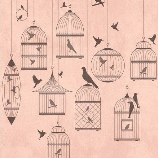 Metropolitan Stories The Wall 38296-1 Tapeta ścienna AS-MURAL, klatki z ptakami, ptaszki