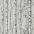 Print Walls 38719-1 Tapeta ścienna AS, brzozy, drzewa, 3d