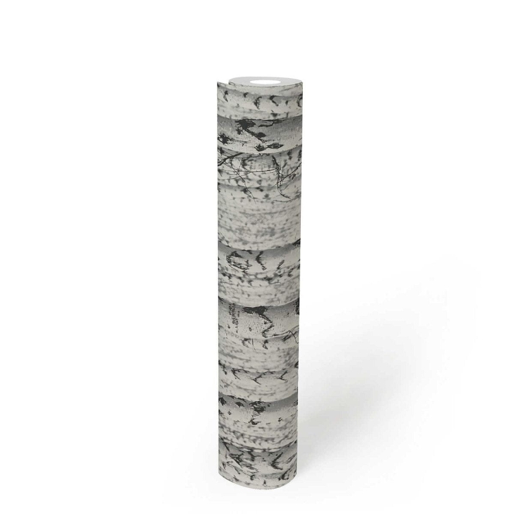 Print Walls 38719-1 Tapeta ścienna AS, brzozy, drzewa, 3d