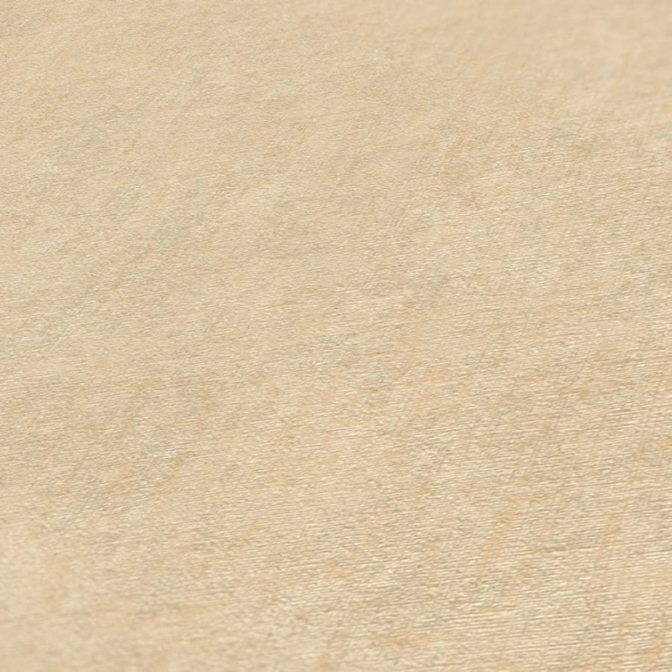 Tapeta na flizelinie AS #hygge 2 38615-5 tło, jednolita, przecierka