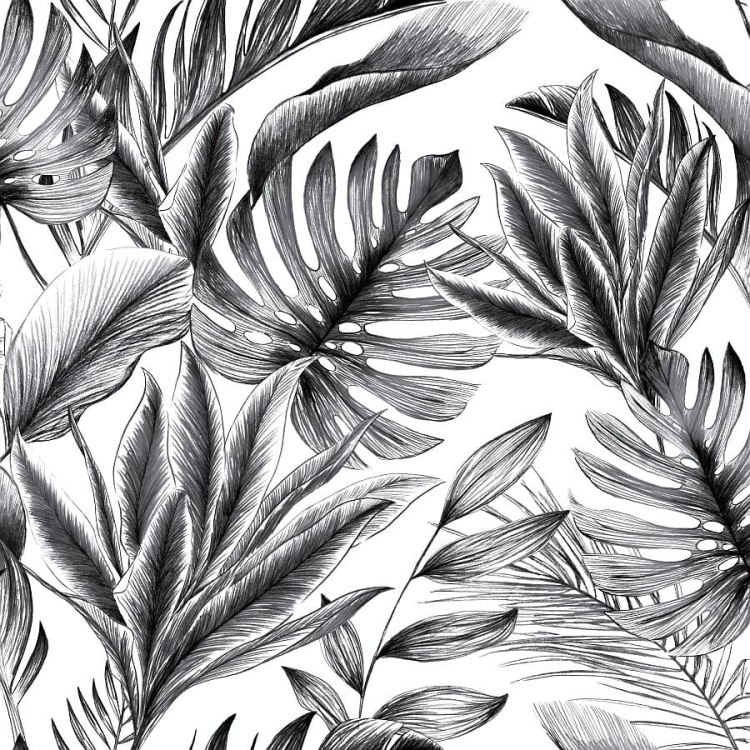 Top Trend 5 577209 Tapeta ścienna Ugepa, liście, monstery