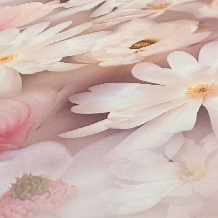 Print Walls 38722-2 Tapeta ścienna AS, kwiaty, kwiatki, magnolia, 3D