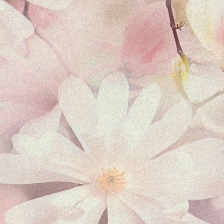 Print Walls 38722-2 Tapeta ścienna AS, kwiaty, kwiatki, magnolia, 3D
