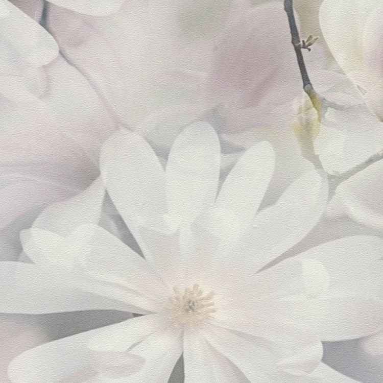 Print Walls 38722-3 Tapeta ścienna AS, kwiaty, kwiatki, magnolia, 3D