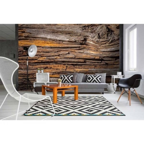 Fototapeta MS-3-0159 Kora Drzewa fizelinowa Dimex