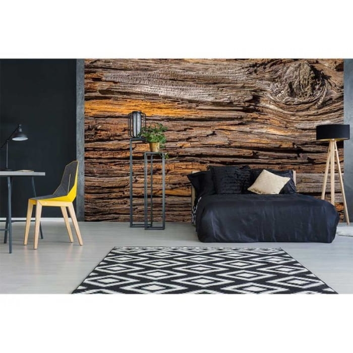 Fototapeta MS-3-0159 Kora Drzewa fizelinowa Dimex