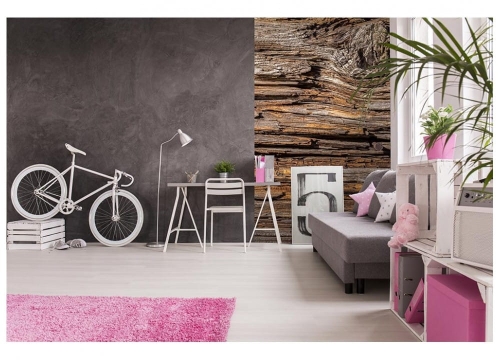 Fototapeta MS-2-0159 Kora Drzewa flizelinowa Dimex