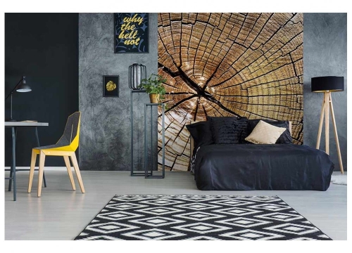 Fototapeta MS-3-0162 Drzewo fizelinowa Dimex