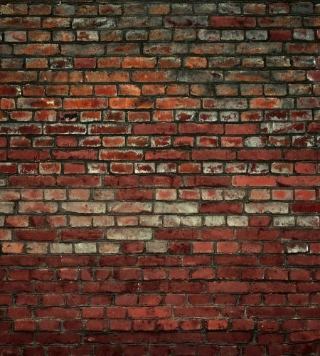 Fototapeta MS-3-0166 Brick Wall fizelinowa Dimex