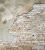 Fototapeta MS-3-0168 Grunge Wall fizelinowa Dimex