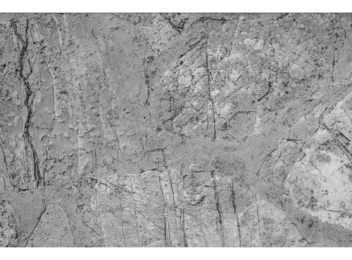 Fototapeta MS-5-0173 Beton flizelinowa Dimex