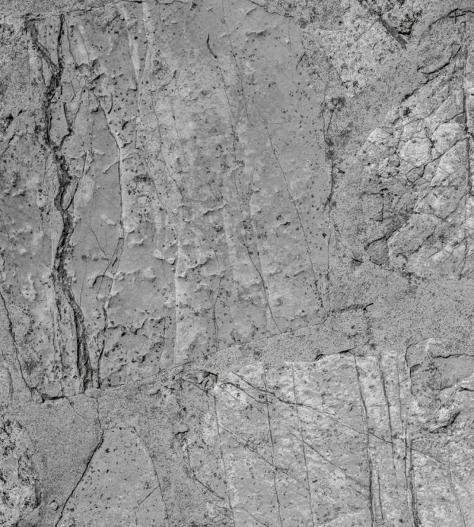 Fototapeta MS-3-0173 Beton fizelinowa Dimex