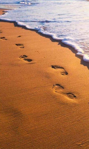 Fototapeta MS-2-0193 Plaża, morze flizelinowa Dimex