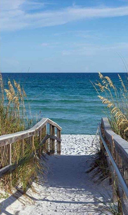 Fototapeta MS-2-0212 Promenada flizelinowa Dimex Plaża morze krajobraz