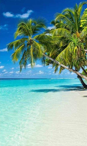 Fototapeta MS-2-0215 Rajska plaża flizelinowa Dimex krajobraz