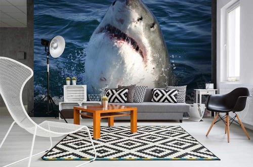 Fototapeta MS-5-0217 Rekin flizelinowa Dimex